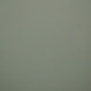 Meet your Posher, Tamara